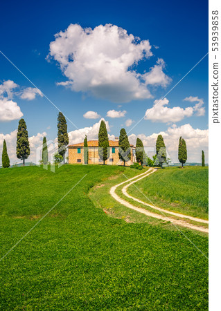 Tuscany spring landscape Tuscany spring landscape 53939858