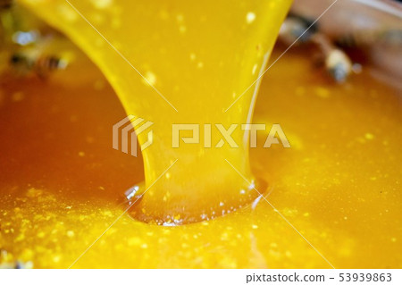Honey Squeezed Close-up Material Background 53939863