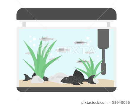 Tropical fish tank 53940096