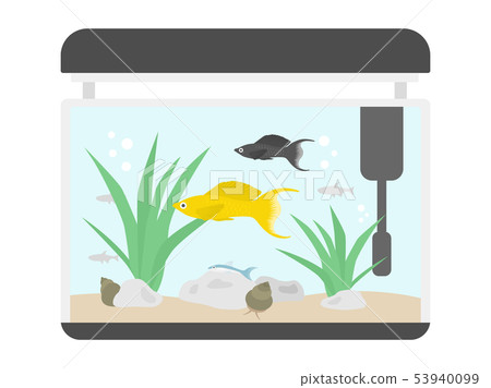Tropical fish tank 53940099