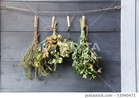 乾花掛在客艙的外牆上 乾花掛在客艙的外牆上 53940471