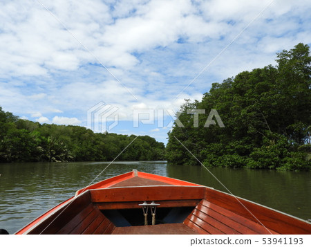 Boats and mangroves and Brunei river and blue sky Boats and mangroves and Brunei river and blue sky 53941193