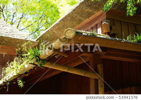 Kagoshima Prefecture Shimokashiya Town Kagoshima Prefecture Shimokashiya Town 53941376