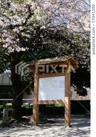 鹿兒島縣下橋市 鹿兒島縣下橋市 53941380