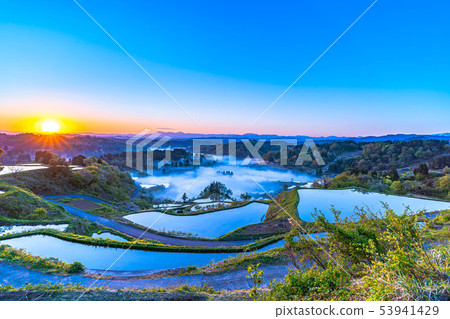 Hoshijima Tanada Morning burnt [Niigata Prefecture] 53941429