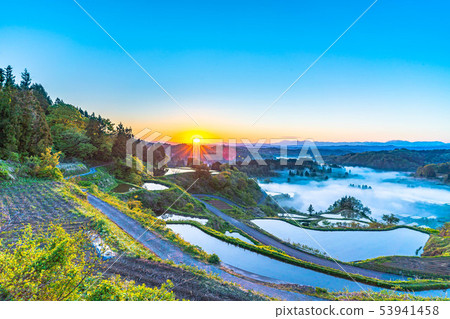 Hoshijima Tanada Morning burnt [Niigata Prefecture] 53941458