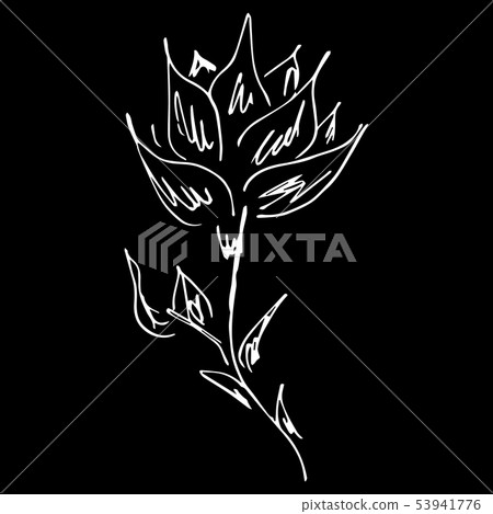 Abstract hand drawn lotus flower isolated on black 53941776