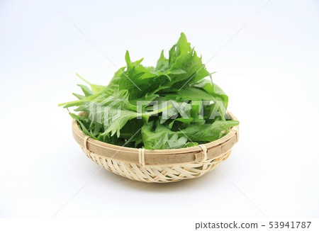 Macrophyll Macrophyll 53941787