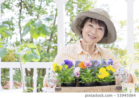 Smiling senior woman holding a wooden box pansy 53945064