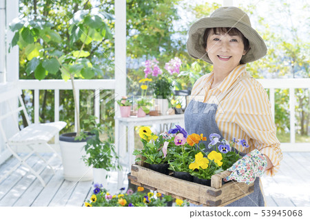 Smiling senior woman holding a wooden box pansy 53945068