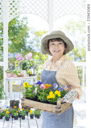 Smiling senior woman holding a wooden box pansy 53945069