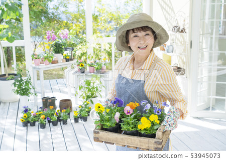 Smiling senior woman holding a wooden box pansy 53945073