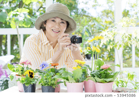 Senior lady taking a picture of a flower Senior lady taking a picture of a flower 53945086