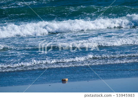 Trees that are likely to be washed away 53945983