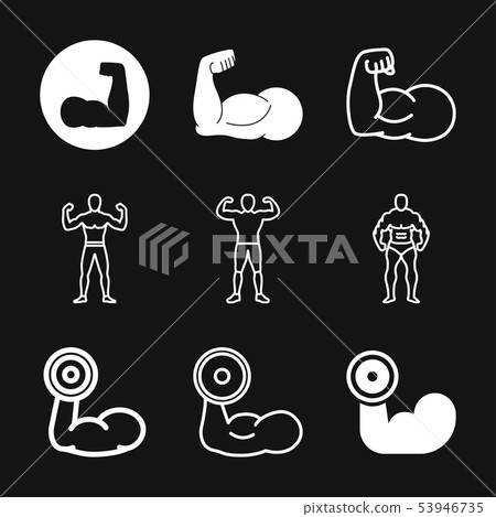 Muscle icon logo, illustration, vector sign symbol Muscle icon logo, illustration, vector sign symbol 53946735