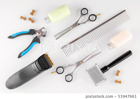 grooming equipment for animals and treats like bones, flat lay 53947661