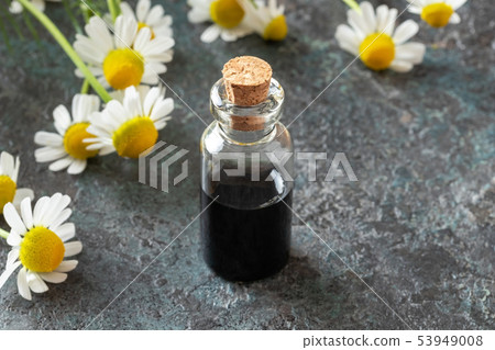 A bottle of dark blue chamomile essential oil A bottle of dark blue chamomile essential oil 53949008
