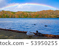 Lake and Rainbow and Birds 8 53950255