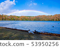 Lake and Rainbow and Birds 9 53950256
