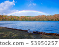 Lake and Rainbow and Birds 10 53950257