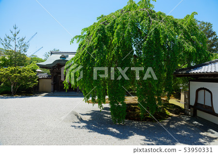 Kodai-ji Temple length height length front garden sand crest 53950331