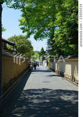 Nene no Michi 53950534