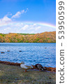 Lake and Rainbow and Birds 12 53950599