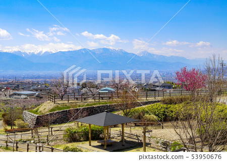 [Yamanashi Prefecture] View from Tokago Park in the spring 53950676