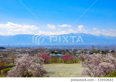 [山梨縣]十勝公園的春天景色 53950683