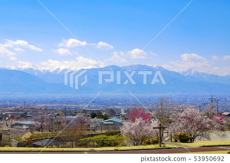 [Yamanashi Prefecture] View from Tokago Park in the spring 53950692