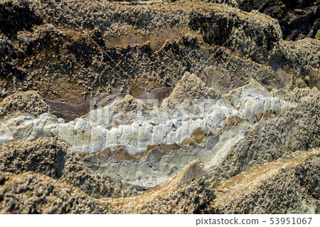 The Flysch Coast of Sakoneta, Zumaia - Basque Country, Spain 53951067