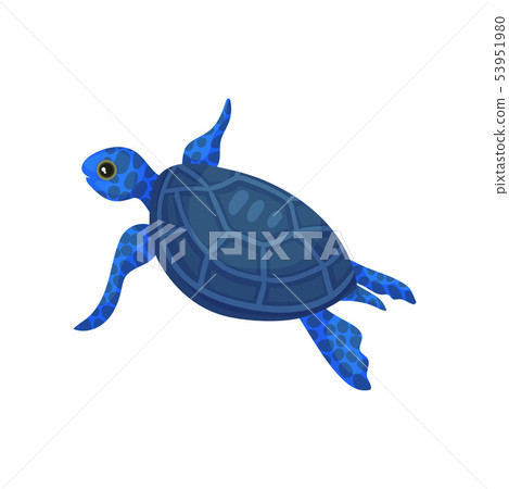Blue turtle. View from above. Vector illustration on white background. Blue turtle. View from above. Vector illustration on white background. 53951980