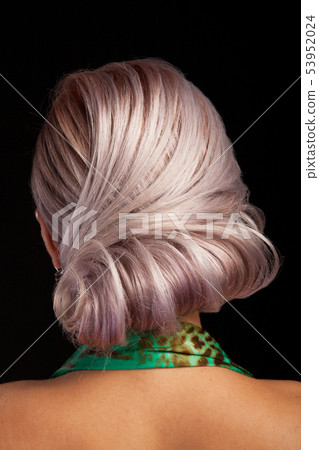 Elegance style of hair on a beautiful young woman in studio background 53952024