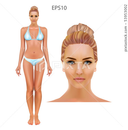 Vector illustration of woman in underwear on the white background. Vector illustration of woman in underwear on the white background. 53953002