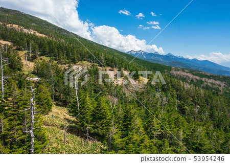 Shibari山（正面），Yatsugatake山脈（背面）：取自Kita Yatsugatake索道Hadano City 53954246