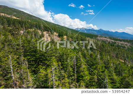 Shibari山（正面），Yatsugatake山脈（背面）：取自Kita Yatsugatake索道Hadano City 53954247