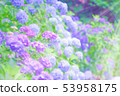 Illustration of colorful hydrangea 53958175