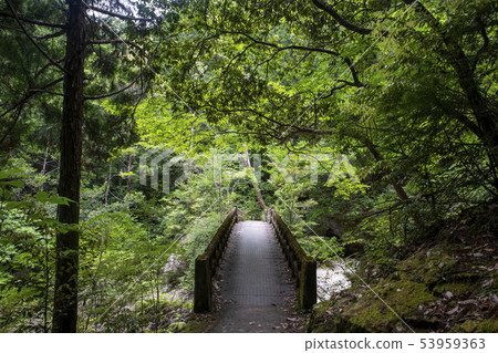 Breaststone 53959363