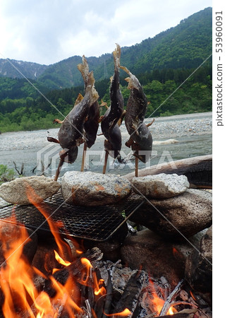 Grilled rocky fish 53960091