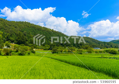 Midsummer country town 53960595