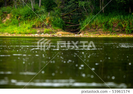 Landscape with forest on the river bank. 53961574