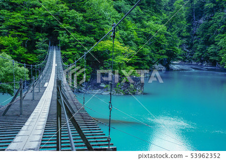 [靜岡] Sumatakyo夢想吊橋 53962352