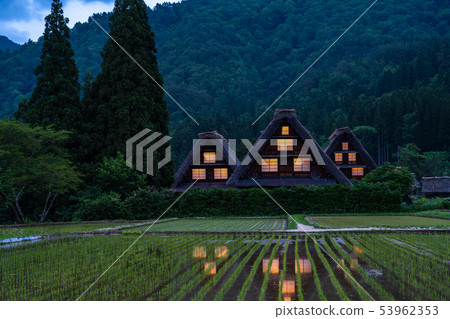 《岐阜縣》白川鄉合掌村/大米種植季節《日落》 《岐阜縣》白川鄉合掌村/大米種植季節《日落》 53962353