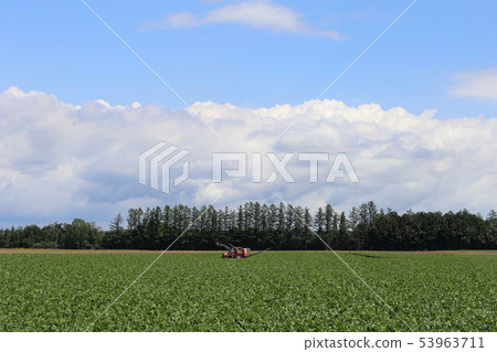 北海道十勝地區田園風光 53963711