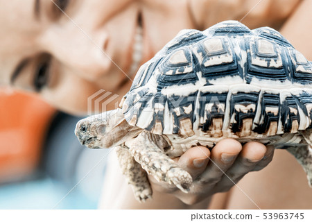 Woman with turtle Woman with turtle 53963745