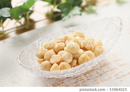 澳洲堅果 澳洲堅果 53964025