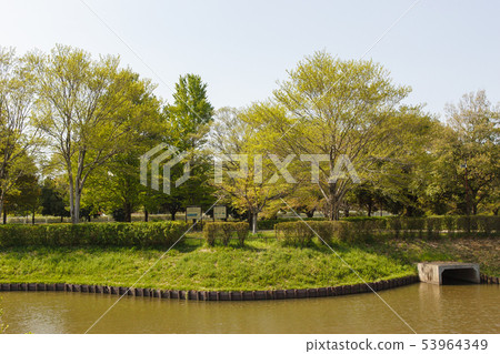 Fresh green park Fresh green park 53964349