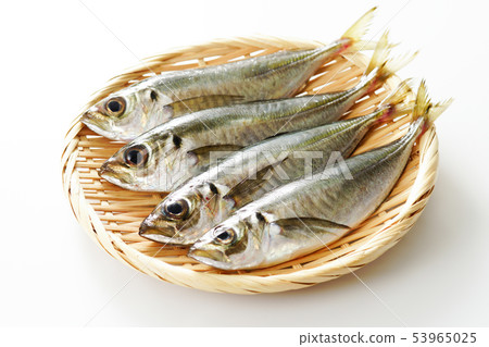 Small horsebeam Small horsebeam 53965025