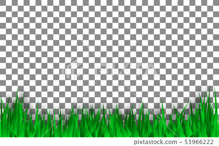 Green grass template on transparent background. Vector design. 53966222