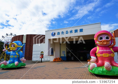 Otaru Aquarium 53967254